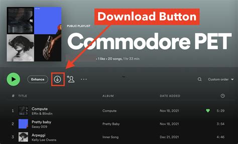 can you download music on spotify without using the internet?