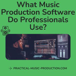 what music production software do professionals use? And how does the choice of software affect their creativity and productivity?